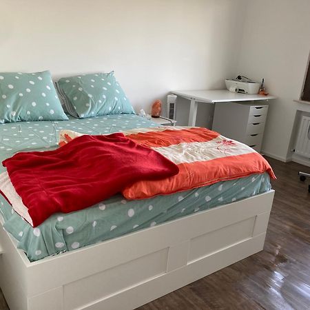 Nice Cozy Appartment レミッチ エクステリア 写真
