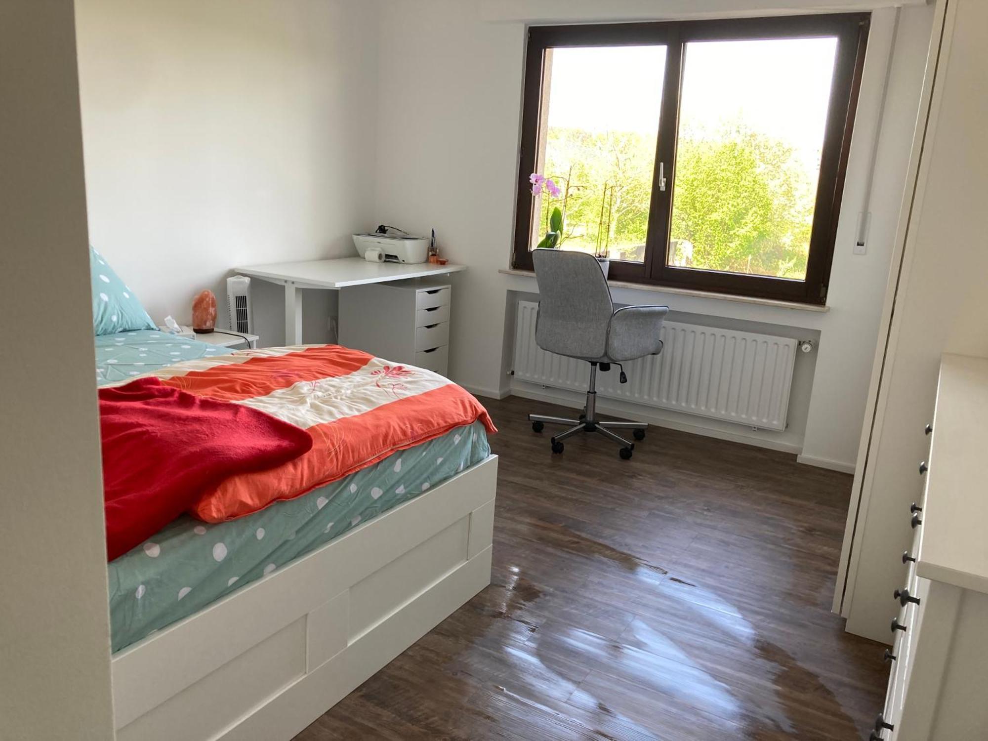 Nice Cozy Appartment レミッチ エクステリア 写真